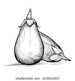 eggplant graphic drawing doodle linework vegetables graphic illustration sketch linework linework drawing from hand drawn background
