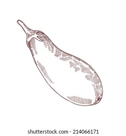 eggplant hand draw
