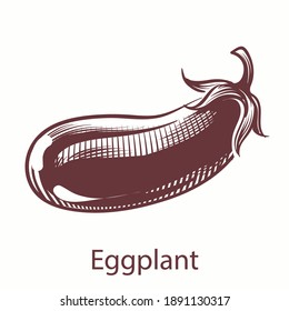 Eggplant hand drawn icon. Botanical vegetable isolated vector illustration in engraving style, organic vegetarian product, sketch cooking ingredient, detailed retro product for labels and packages