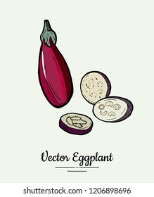 Eggplant – hand drawn illustration. Hipster illustration of eggplant. Isolated purple aubergine for vegetarian poster, cooking school, restaurant menu, banner, logo, icon, food shop, harvest 
festival
