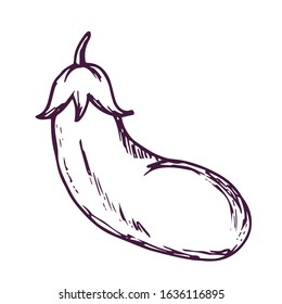 Eggplant hand drawn illustration vector