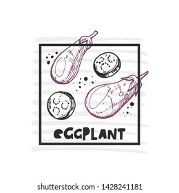 Eggplant. Hand drawn realistic vector illustration. Organic vegetable. Eco food. Farm market product. Isolated white background. Can be used for shop, menu, card, poster, label