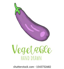 Eggplant hand drawn vector illustration, isolated sketched design element.