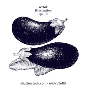Eggplant hand drawn vector illustration set. Retro Vegetable engraved style object. Can be use for menu, label, farm market