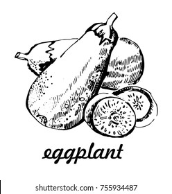 Eggplant hand drawn vector illustrations. Line