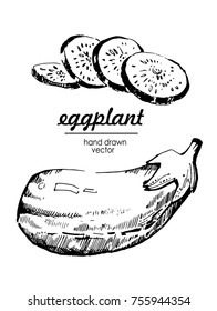 Eggplant hand drawn. vector illustrations
