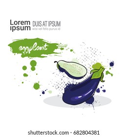 Eggplant Hand Drawn Watercolor Vegetable On White Background With Copy Space Vector Illustration