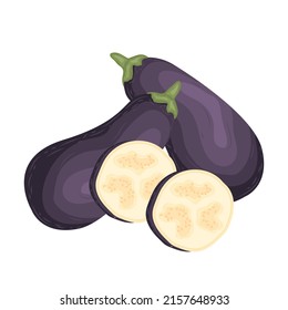 eggplant health japanese vegetarian ingredient kitchen vector fruit plant nature sweet cooking tasty