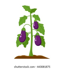 Eggplant icon cartoon. 