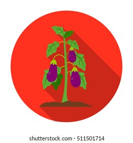 Eggplant icon in flat style isolated on white background. Plant symbol stock vector illustration.
