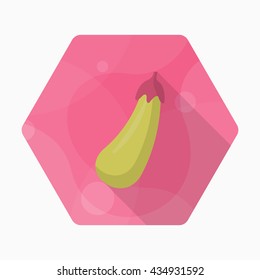 Eggplant  icon, Vector flat long shadow design. EPS10