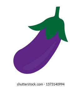 eggplant icon- vector illustration
