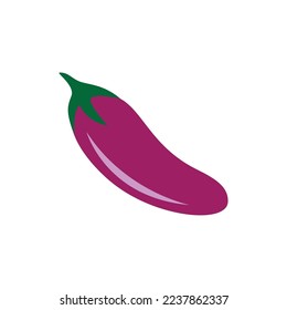 diseño de ilustraciones vectoriales de iconos de eggplant