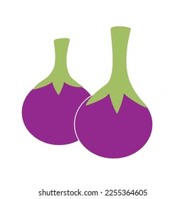 diseño de ilustraciones vectoriales de iconos de eggplant