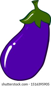 Eggplant, illustration, vector on white background.
