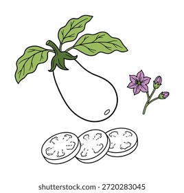 Vetor ilustração berinjela conjunto com fatia vegetal e flor para cozinhar receita e ingrediente para menu cozinha italiana