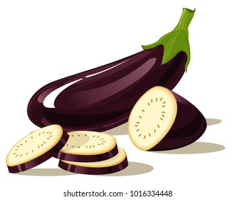 Eggplant isolate on white background. Vector illustration