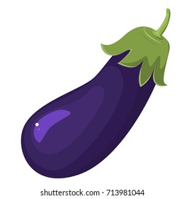 Eggplant isolated on white. Aubergine. Vector illustration. Vegetarian food