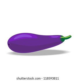 eggplant isolated on white background vector