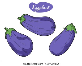 Eggplant isolated on white background. Vector illustration in sketch style.
