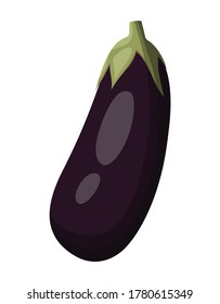 eggplant isolated on white background, aubergine, vector illustration, vegetarian food