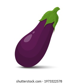 Eggplant isolated on white background, Vector ingredients for salad. Flat design
