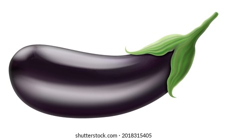 Eggplant isolated on a white background. Whole eggplant vegetable. Vector 3D illustration.