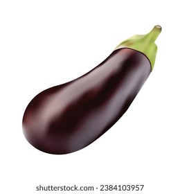 Eggplant isolated on white background. Vector illustration. Vegetable 3d illustration. 