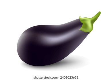 Eggplant isolated on white background close-up. Fresh eggplant from garden vector illustration.