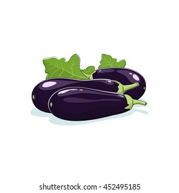 Eggplant Isolated on White Background, Vegetables Aubergine, Edible Fruit, Vector Illustration 