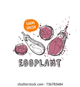 Eggplant isolated set. Hand drawn vector illustration with watercolor splash. Can be used for street festival, farmers market, country fair, shop, menu, cafe, restaurant, poster, banner.