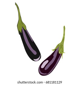 Eggplant isolated. Eggplant vegetable nutrition food diet.
