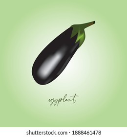 eggplant on a green background