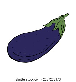 Eggplant on an isolated white background in a hand drawn style.
