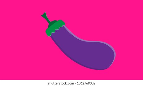 eggplant on a pink background, vector illustration. purple eggplant. vegetable for salad and eating. vegetarian food. weight loss and weight loss.