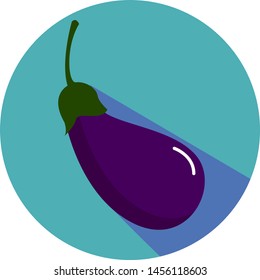 Eggplant on plate, illustration, vector on white background.