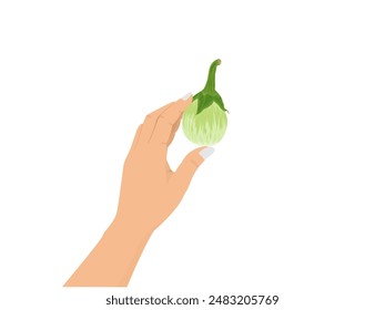 Aubergine auf weißem Hintergrund.