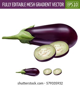 Eggplant On White Background. Vector Illustration