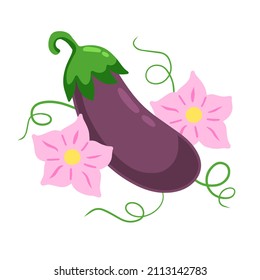 Eggplant. Pink flowers and stem with green tendrils. Flowering of vegetable.
