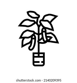eggplant in pots line icon vector. eggplant in pots sign. isolated contour symbol black illustration