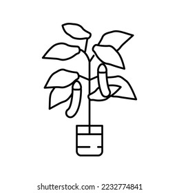 eggplant in pots line icon vector. eggplant in pots sign. isolated contour symbol black illustration
