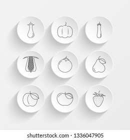 Eggplant, Pumpkin, Pickles, Corn Vegetable and Tomato icons on plate illustration set