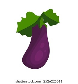 Eggplant, purple plant, eggplant vector