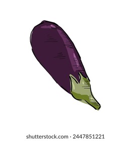 eggplant purple vegetable cartoon vector