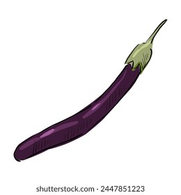 eggplant purple vegetable cartoon vector