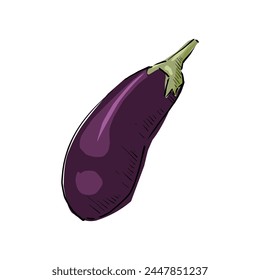 eggplant purple vegetable cartoon vector