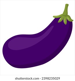 eggplant ripe vector drawing isolated on white