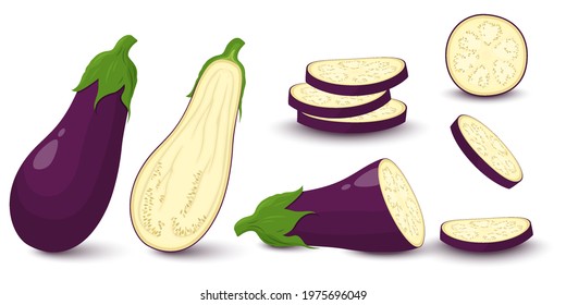 Eggplant set isolated on white background. Whole, slice, half of fresh aubergine. Vector ingredients for salad.