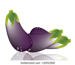 eggplant with shadow over white background. vector illustration