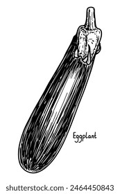 Eggplant sketch. Ripe vegetable. Healthy food. Farm product. Harvesting. Hand drawn vector line illustration.